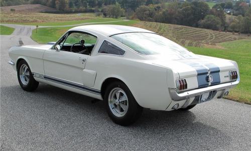 1966 Shelby GT350  white.jpg