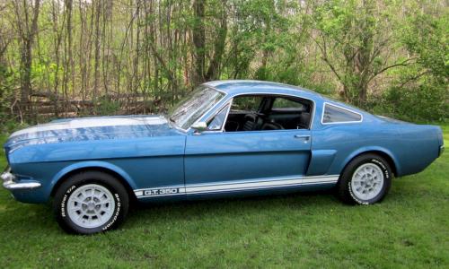1966 Shelby GT350 5.jpg