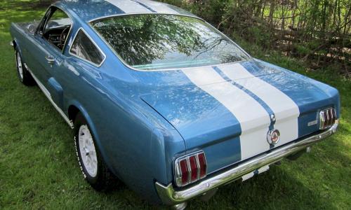 1966 Shelby GT350 6.jpg