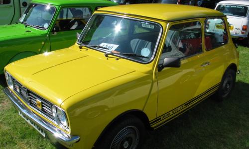 81 GT in snap dragon.jpg