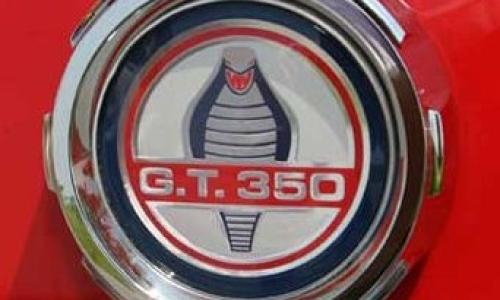 GT350 rear badge.jpg