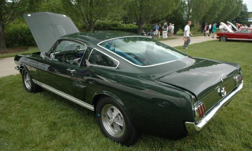 Green 66 Shelby GT350.jpg