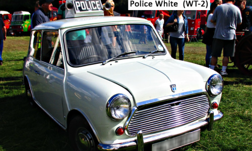 Police White copy.png