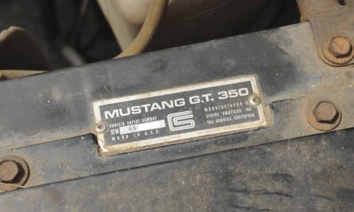 Shelby GT350 1966 chassis plate.jpg