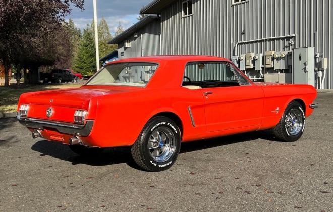 1964.5 Poppy Red Ford Mustang Coupe original white trim USA (3).jpg