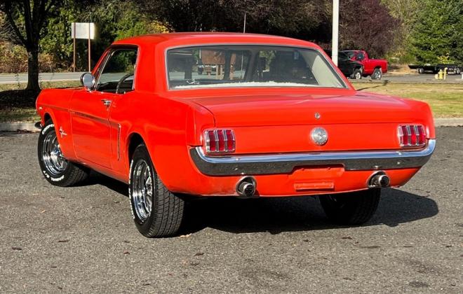 1964.5 Poppy Red Ford Mustang Coupe original white trim USA (4).jpg
