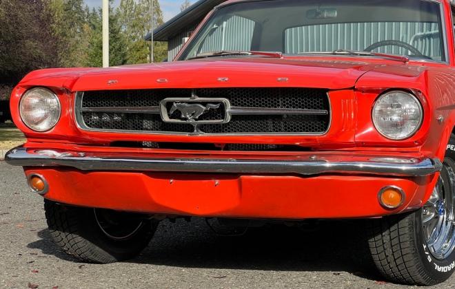 1964.5 Poppy Red Ford Mustang Coupe original white trim USA (6).jpg