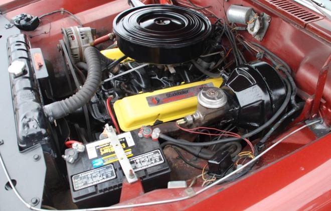 1966 Studebaker Daytona Sport Sedan V8 red white roof (8) VY engine bay thunderbolt v8.jpg