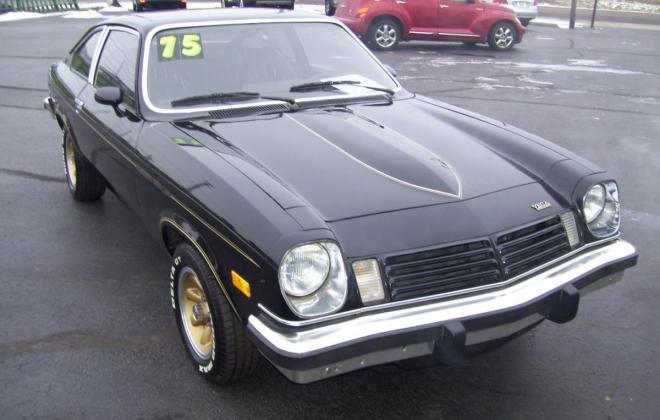 1976 Chevrolet Vega Cosworth Black with Gold Car Number 0539 (22).jpg