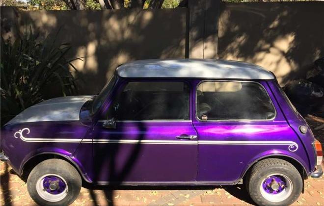 1979 Meyland Mini GTS purple south africa (2).jpg