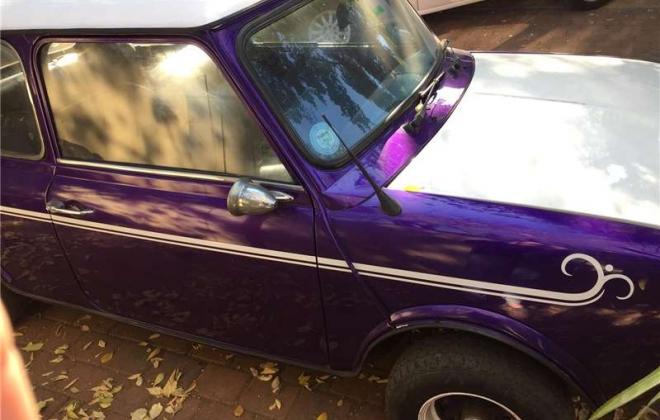 1979 Meyland Mini GTS purple south africa (4).jpg