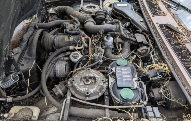1982 Rolls Royce Silver Spirit bullit proof sedan abandoned for sale engine image (15).jpg