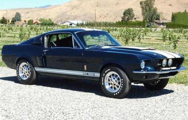 Ford Mustang Shelby GT 500 3.jpg