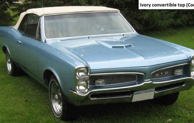 Ivory convertible top 1967 GTO 3.jpg