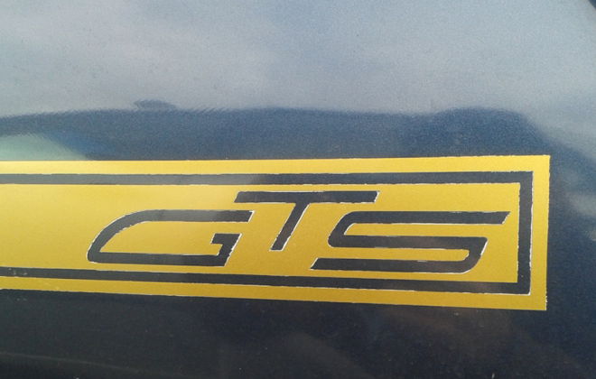 Leyland Mini GTS decals side GTS text.png