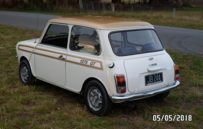 New Zealand white with Gold stripe 1275 GT Mini images (3).jpg