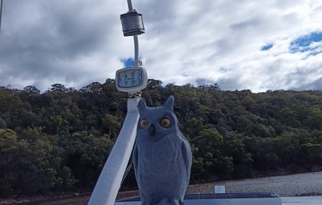 Sea Owl 40 foot timber Gentlemans Cruiser white over Blue hull Australia (16).jpg