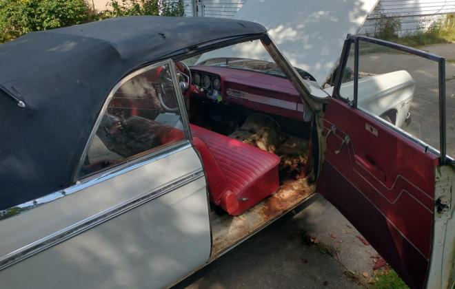 White rusty unrestored Studebaker Daytona convertible USA (13).jpg