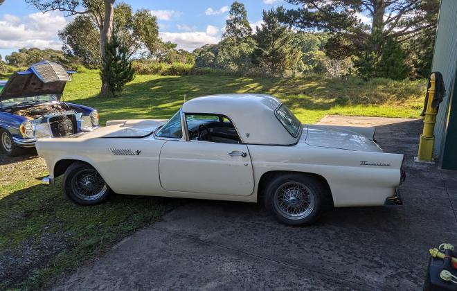 1955 Ford Thunderbird for sale (2).jpg