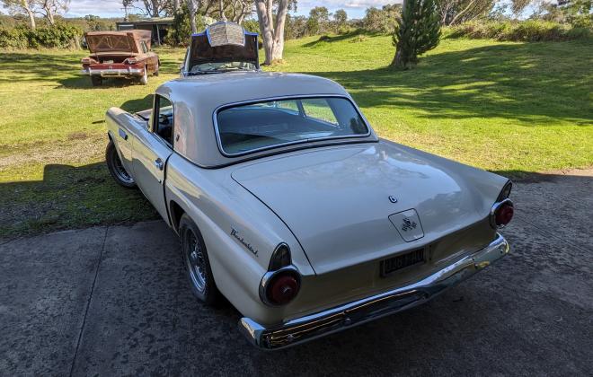 1955 Ford Thunderbird for sale (3).jpg