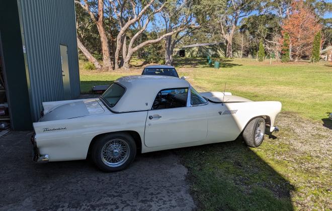 1955 Ford Thunderbird for sale (6).jpg