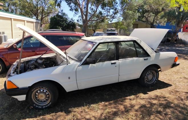 For sale - 1981 Ford Fairmont Ghia XD V8  (1).jpg