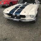 1967 Ford Mustang GT500 Shelby white original unrestored (8).jpg